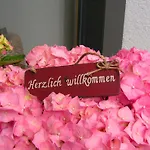 Alpina * Schröcken