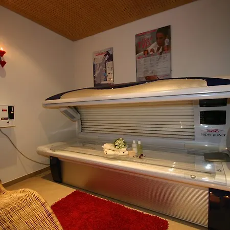 Apartment Alpina *